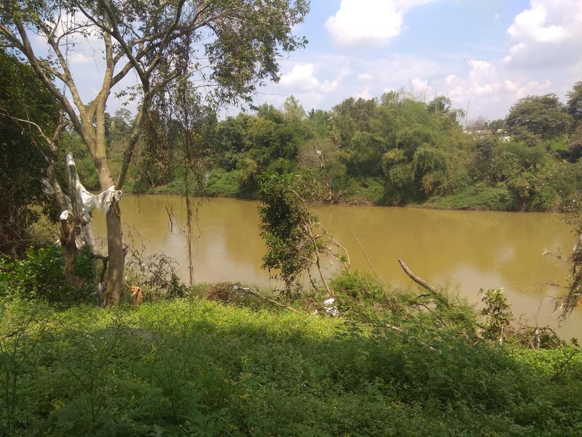 Dreams River View Homestay Coorg Kushālnagar Eksteriør billede