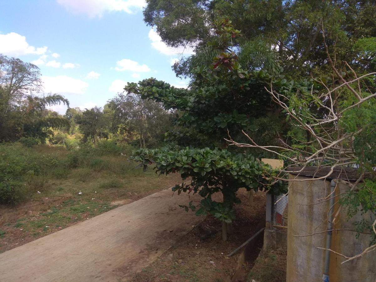 Dreams River View Homestay Coorg Kushālnagar Eksteriør billede